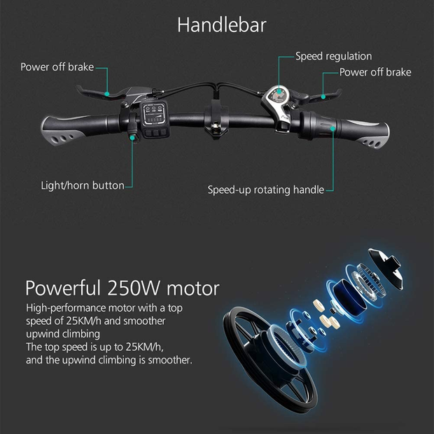 Folding Ebike FIIDO D2S 16'' Electric Bike 250W Aluminum Electric Bicycle with Pedal for Adults and Teens, or Sports Outdoor Cycling Travel Commuting, Shock Absorption Mechanism