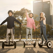 Segway Ninebot S and S-Max Smart Self-Balancing Electric Scooter with LED Light, Powerful and Portable, Compatible with Gokart Kit